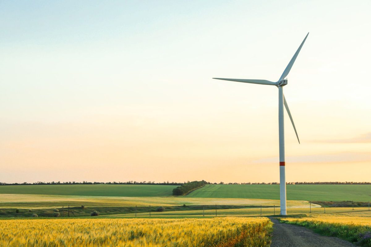 Wind turbine and beautiful fields at sunset, space for text
